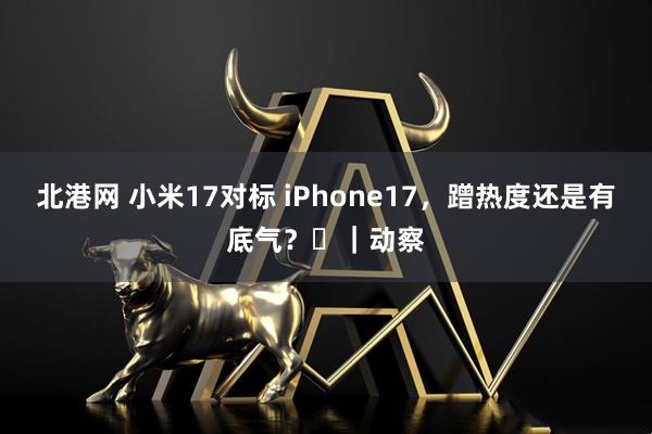 北港网 小米17对标 iPhone17，蹭热度还是有底气？​｜动察